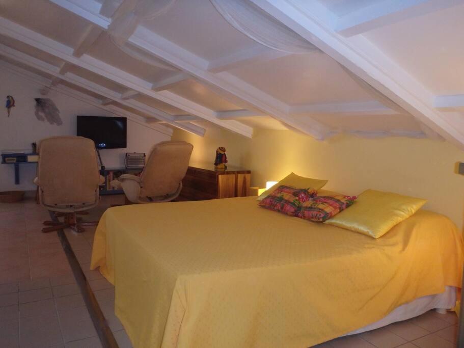 Charmant Et Spacieux Studio A 50M De La Plage Le Diamant Bagian luar foto