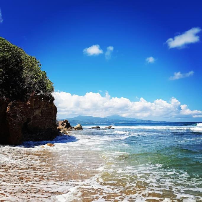 Charmant Et Spacieux Studio A 50M De La Plage Le Diamant Bagian luar foto